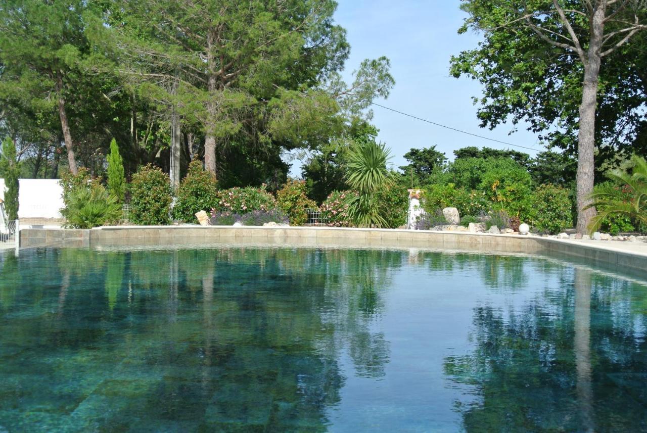 Grand Tamaris Hosting Bed and Breakfast Arles Eksteriør billede